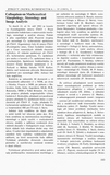 First Page Preview