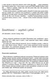 First Page Preview