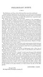 First Page Preview