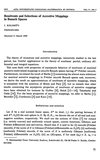 First Page Preview